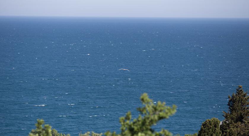 Гостиница Перелетные Птицы Алупка-67